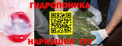 2c-b Будённовск