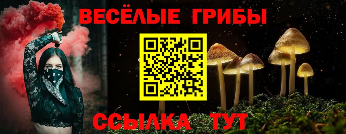 Лениногорск  Галлюциногенные грибы Cubensis  Вход с VPN 